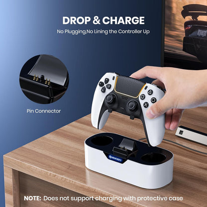 NEWDERY PS5 Controller Charger Staion, Fast Charging Dock for Playstation 5 Controllers, Single Controller Charging Stand Replacement for PS5 Controller & DualSense Edge Controller